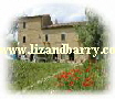 www.lizandbarry.com